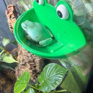 Meet your Posher, Brianne